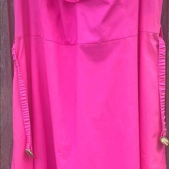 Lilly Pulitzer Pink Maxi Dress - Picture 11 of 16